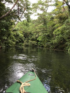 夏休み.JPG