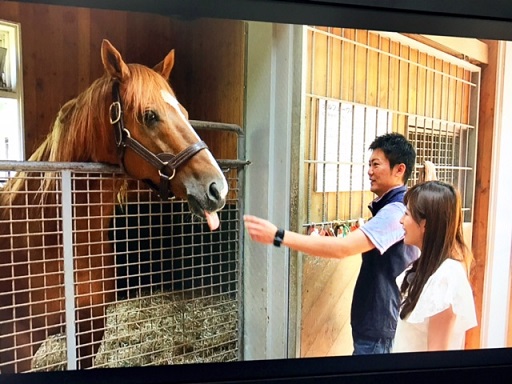 速水里彩のおしゃべリサーチ 東海テレビ