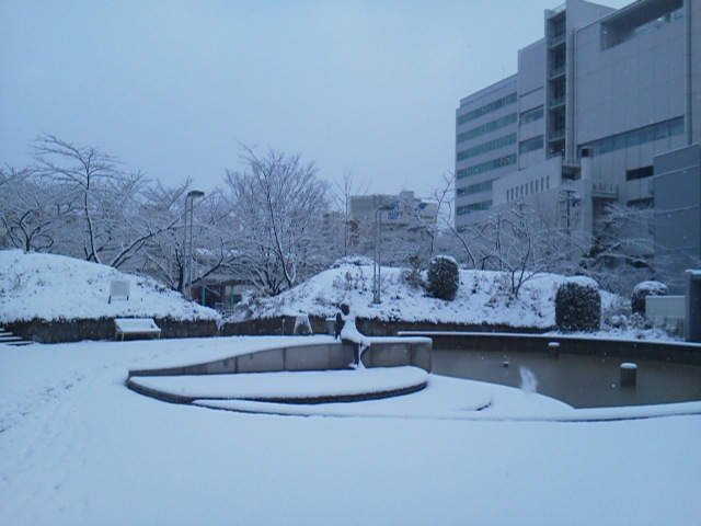 P1002493.jpg雪.jpg