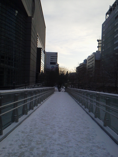 P1002538.jpg雪.jpg