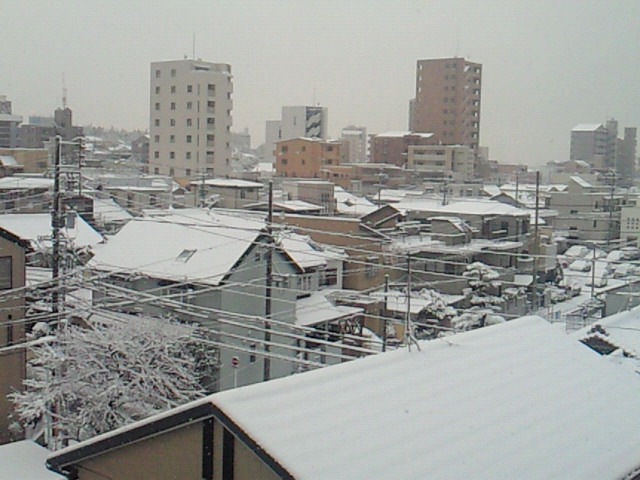 201101170817001.jpg