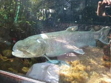 2011-09-10 14.58.40.jpg