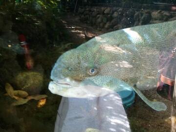2011-09-10 14.58.47.jpg