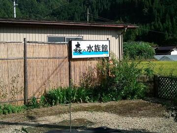 2011-09-10 15.02.28.jpg