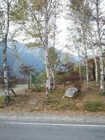 2011-10-10 15.34.36.jpg