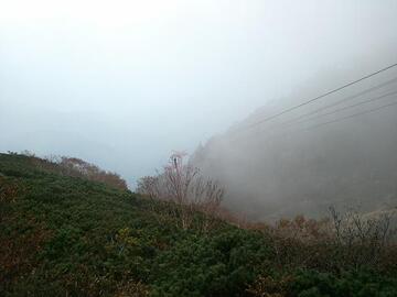 2011-10-10 16.32.46.jpg