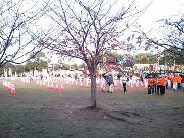 2011-11-12 08.06.46.jpg