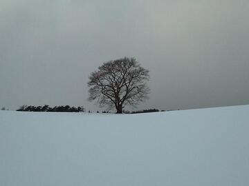 2012-01-11 15.42.14.jpg