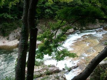 2012-05-28 14.33.26.jpg