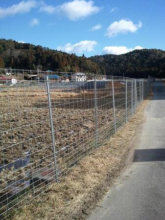2012-12-26 11.07.50.jpg