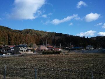 2012-12-26 11.08.11.jpg