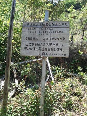 2013-05-07 12.20.23.jpg