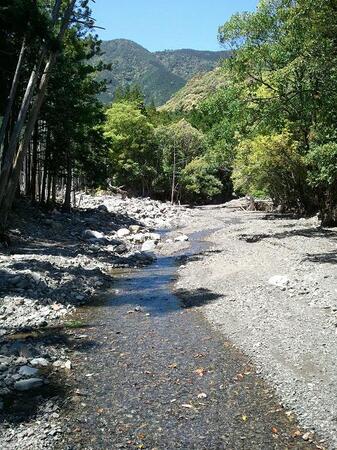 2013-05-07 12.37.25.jpg