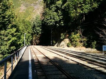 IMG_20161224_105013_20170129091850.jpg