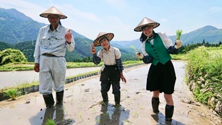 丸山千枚田で田植え.jpg