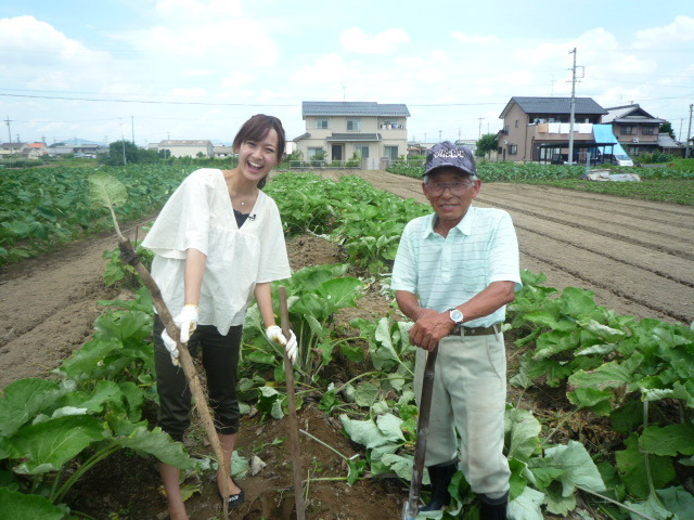 まんだら市